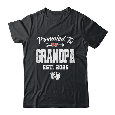 Promoted To Grandpa Est 2019 Shirt First Time New Father Day