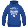Promoted To Grandpa Est 2026 Fathers Day First Time New Shirt & Hoodie | siriusteestore