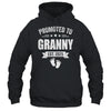 Promoted To Granny Est 2025 Mothers Day First Time New Shirt & Tank Top | siriusteestore