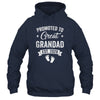 Promoted To Great Grandad Est 2026 Pregnancy Announcement Shirt & Hoodie | siriusteestore