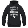Promoted To Great Grandma Est 2025 Pregnancy Announcement Shirt & Tank Top | siriusteestore