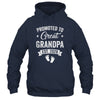 Promoted To Great Grandpa Est 2026 Pregnancy Announcement Shirt & Hoodie | siriusteestore