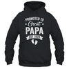 Promoted To Great Papa Est 2026 Pregnancy Announcement Shirt & Hoodie | siriusteestore