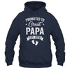 Promoted To Great Papa Est 2026 Pregnancy Announcement Shirt & Hoodie | siriusteestore