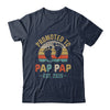 Promoted To Pap Pap Est 2025 Fathers Day Vintage Shirt & Hoodie | siriusteestore
