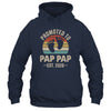 Promoted To Pap Pap Est 2026 Fathers Day Vintage Shirt & Hoodie | siriusteestore