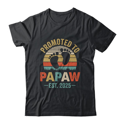 Promoted To Papaw Est 2025 Fathers Day Vintage Shirt & Hoodie | siriusteestore