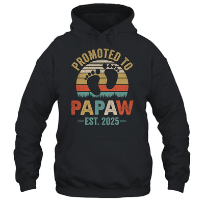 Promoted To Papaw Est 2025 Fathers Day Vintage Shirt & Hoodie | siriusteestore