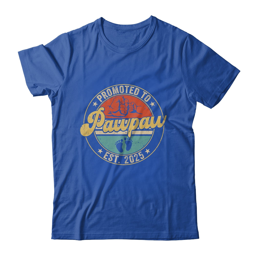 Promoted To Pawpaw 2025 Pregnancy New First Pawpaw Retro Shirt & Hoodie | siriusteestore