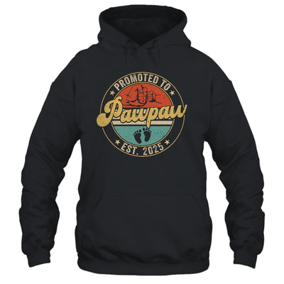 Promoted To Pawpaw 2025 Pregnancy New First Pawpaw Retro Shirt & Hoodie | siriusteestore