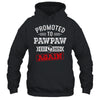 Promoted To Pawpaw Again 2025 Pregnancy Announcement Shirt & Hoodie | siriusteestore