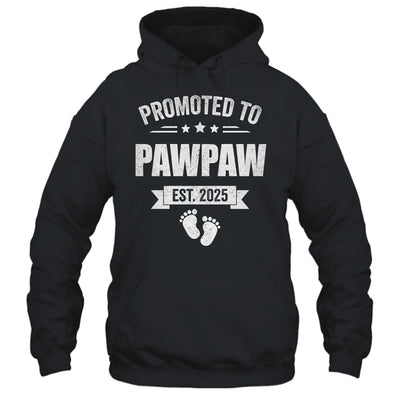 Promoted To Pawpaw Est 2025 Fathers Day First Time New Shirt & Hoodie | siriusteestore