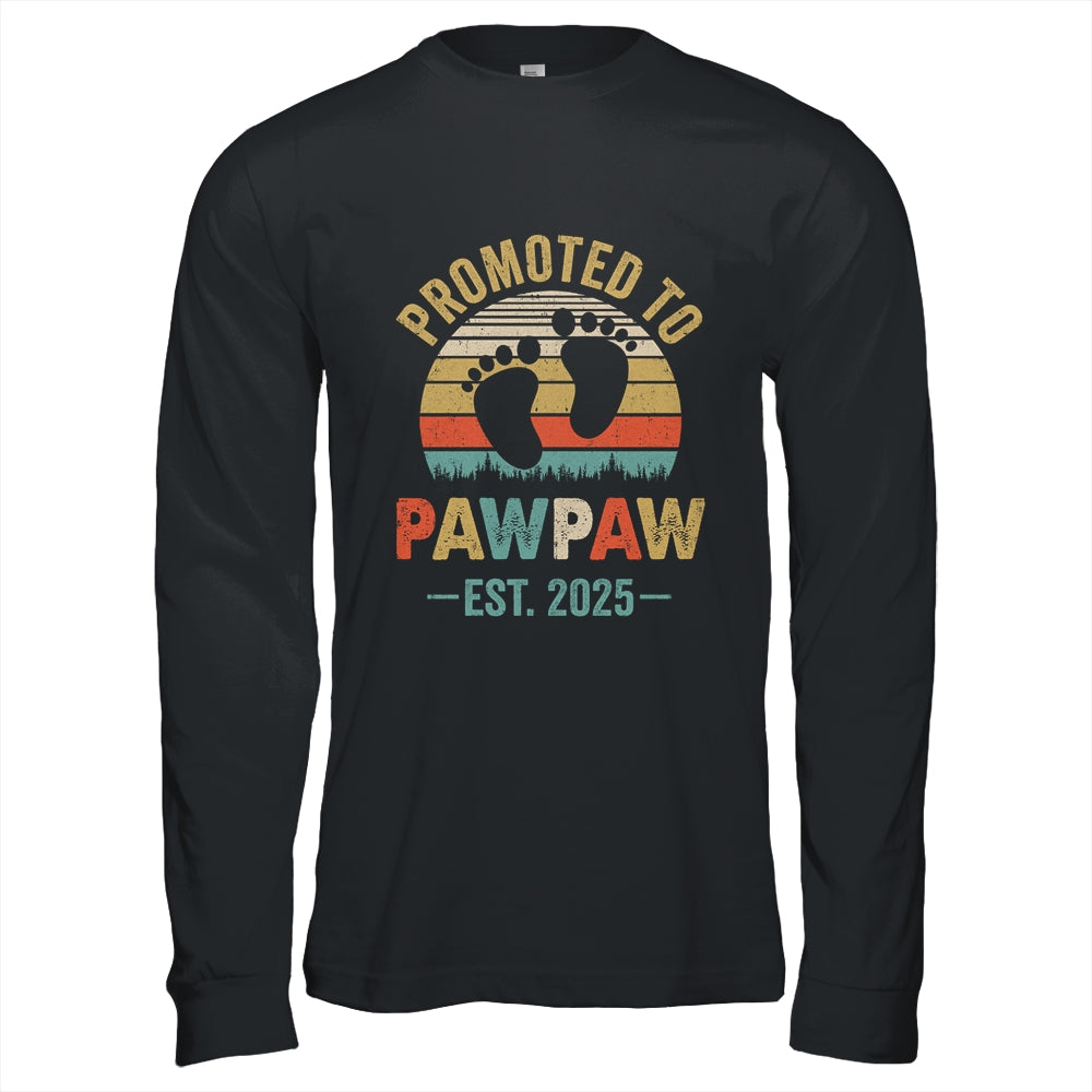 Promoted To Pawpaw Est 2025 Fathers Day Vintage Shirt & Hoodie | siriusteestore