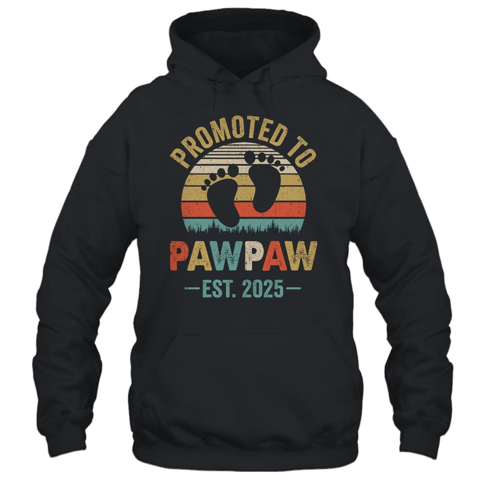 Promoted To Pawpaw Est 2025 Fathers Day Vintage Shirt & Hoodie | siriusteestore