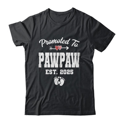 Promoted To Pawpaw Est 2025 Funny First Time Fathers Day Shirt & Hoodie | siriusteestore