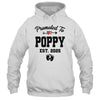 Promoted To Poppy Est 2025 First Time Fathers Day Shirt & Hoodie | siriusteestore