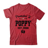 Promoted To Poppy Est 2026 First Time Fathers Day Shirt & Hoodie | siriusteestore