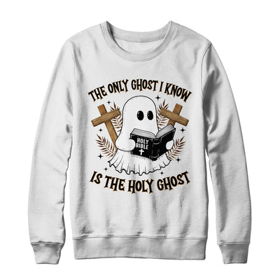 The Only Ghost I Know Is The Holy Ghost Funny Boo Christian Shirt & Sweatshirt | siriusteestore