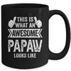 This Is What An Awesome Papaw Looks Like Fathers Day Cool Mug | siriusteestore