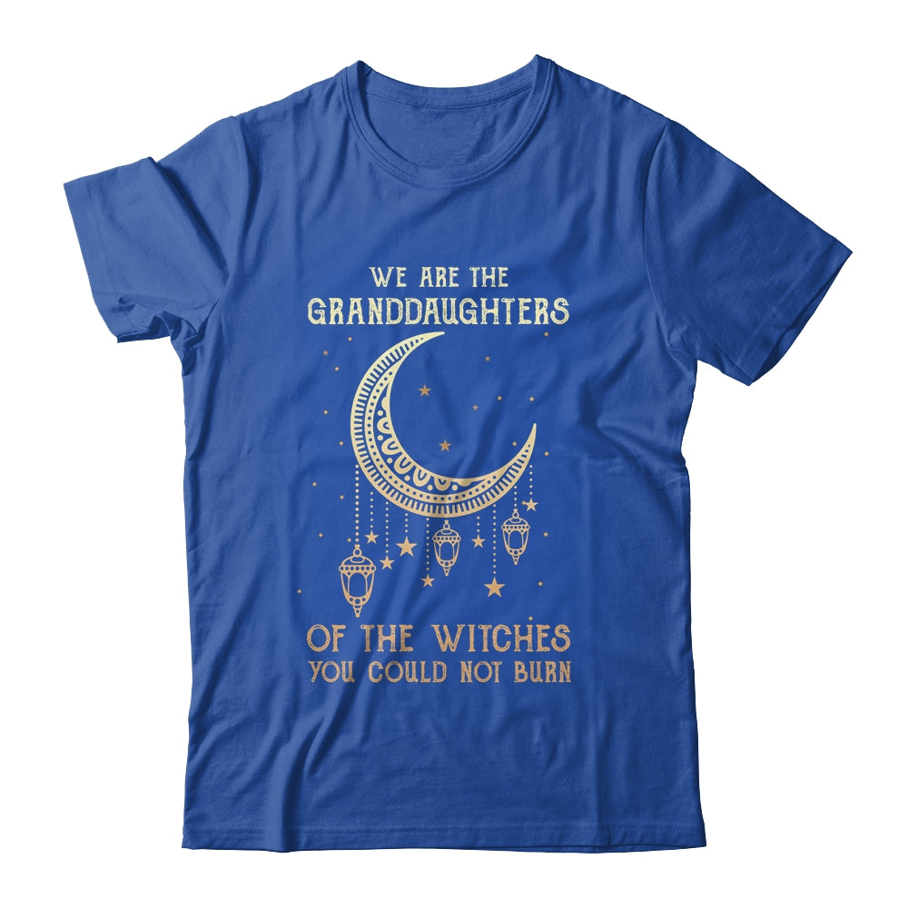 We Are The Granddaughters Of The Witches You Could Not Burn Shirt & Hoodie | siriusteestore
