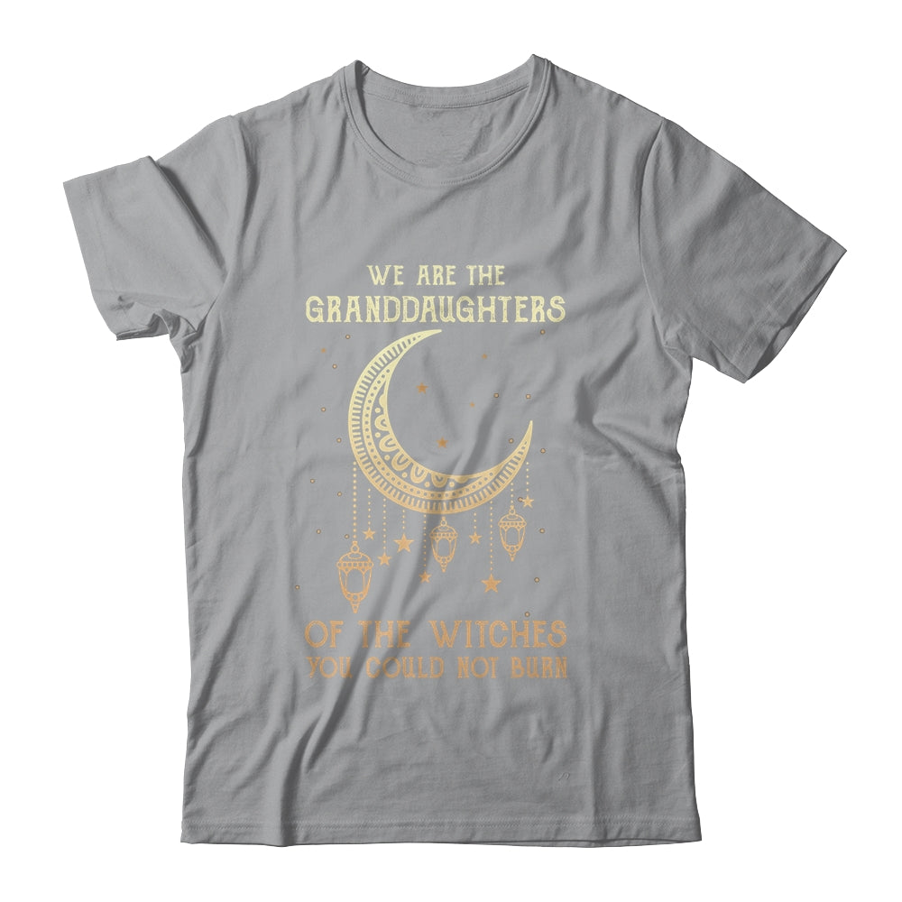 We Are The Granddaughters Of The Witches You Could Not Burn Shirt & Hoodie | siriusteestore
