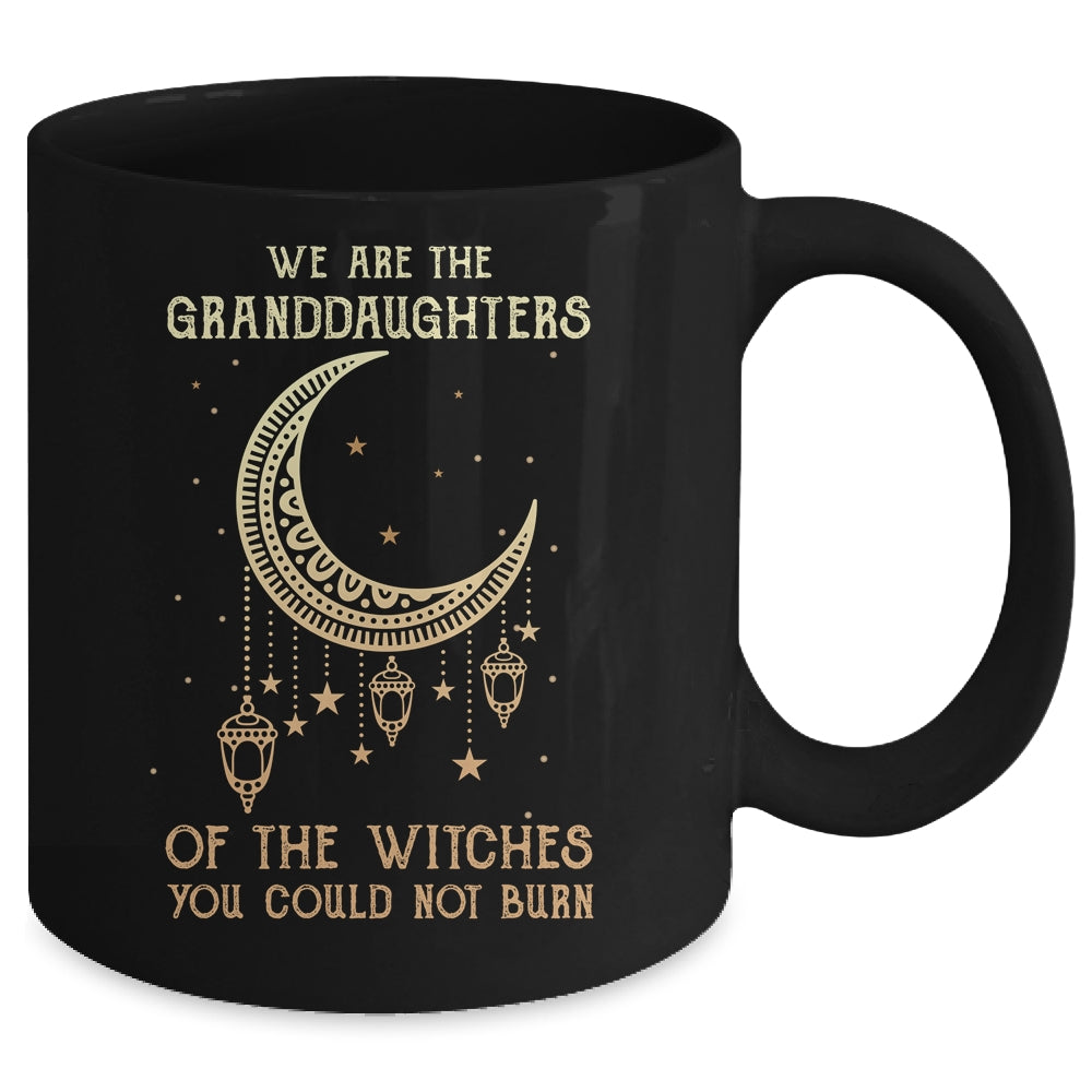 We Are The Granddaughters Of The Witches You Could Not Burn Mug | siriusteestore