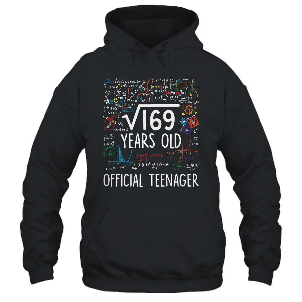 13 Birthday Official Teenager Boy 13yr Math 13th Birthday Shirt