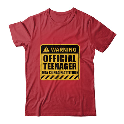 13 Birthday Official Teenager May Contain Attitude Math 13th Birthday Shirt & Hoodie | siriusteestore