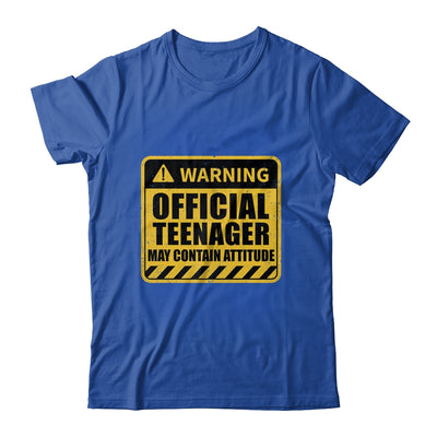 13 Birthday Official Teenager May Contain Attitude Math 13th Birthday Shirt & Hoodie | siriusteestore