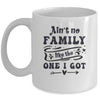 Aint No Family Like The One I Got Funny Family Reunion Funny Mug | siriusteestore