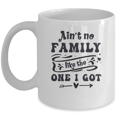 Aint No Family Like The One I Got Funny Family Reunion Funny Mug | siriusteestore