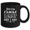 Aint No Family Like The One I Got Funny Family Reunion Mug | siriusteestore