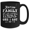 Aint No Family Like The One I Got Funny Family Reunion Mug | siriusteestore