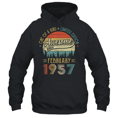 February 1957 Vintage 65 Years Old Retro 65th Birthday Shirt & Hoodie | siriusteestore