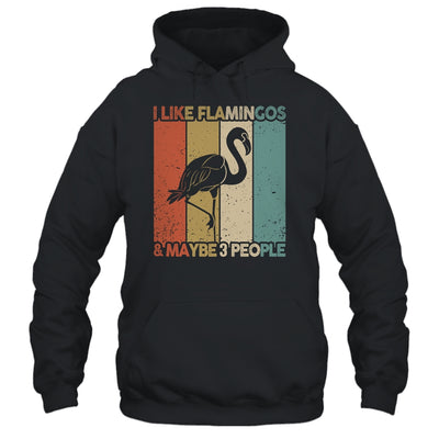 Funny Flamingo Design For Kids Men Women Animal Vintage Shirt & Tank Top | siriusteestore