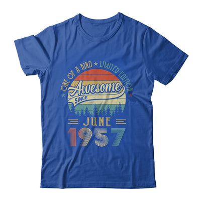 June 1957 Vintage 65 Years Old Retro 65th Birthday Shirt & Hoodie | siriusteestore