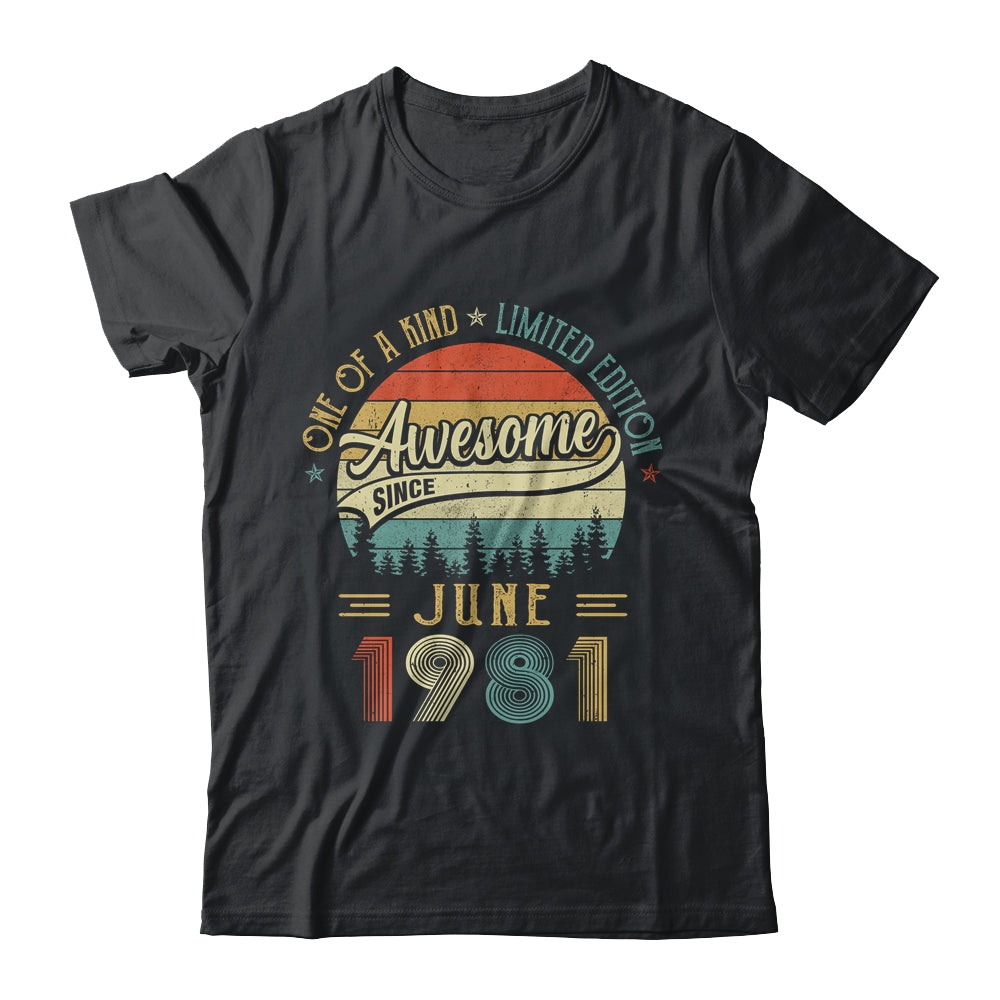 June 1981 Vintage 40 Years Old Retro 40th Birthday Gift Shirt & Hoodie | siriusteestore