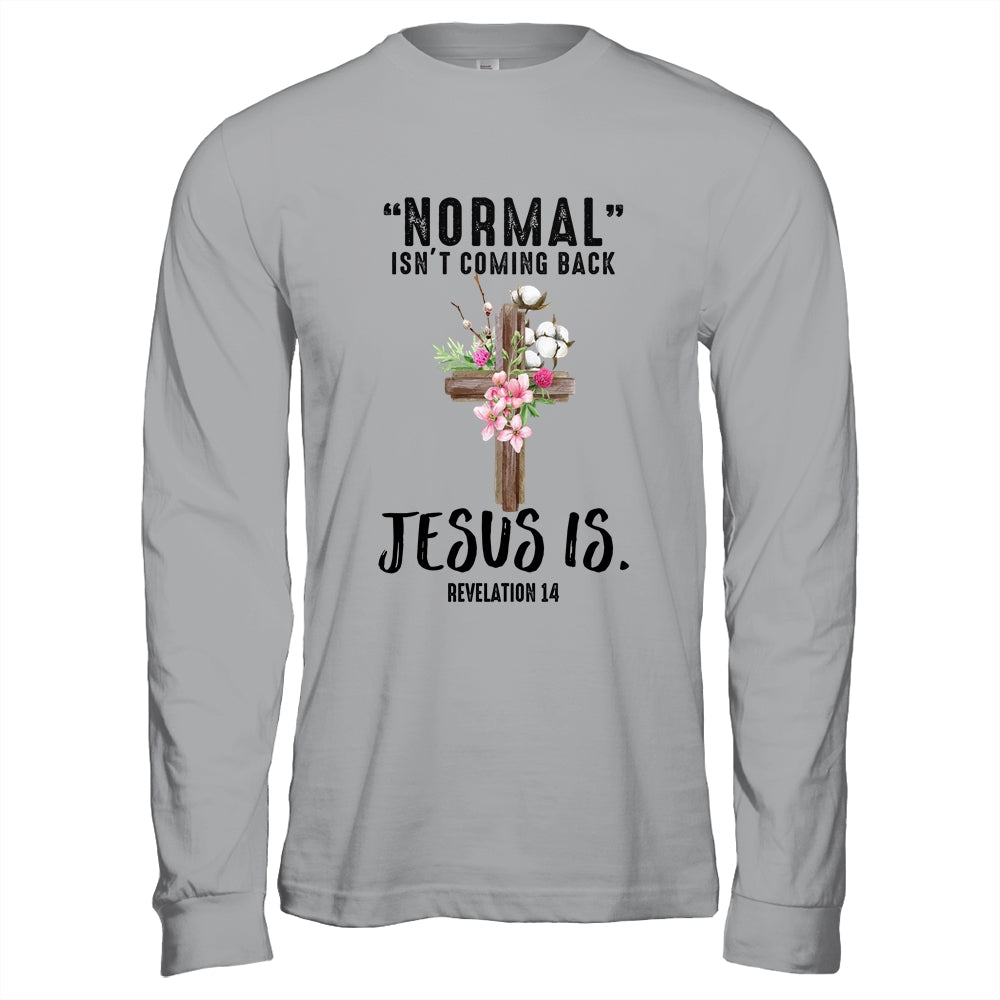 Normal Isn't Coming Back But Jesus Is Costume Shirt & Hoodie | siriusteestore