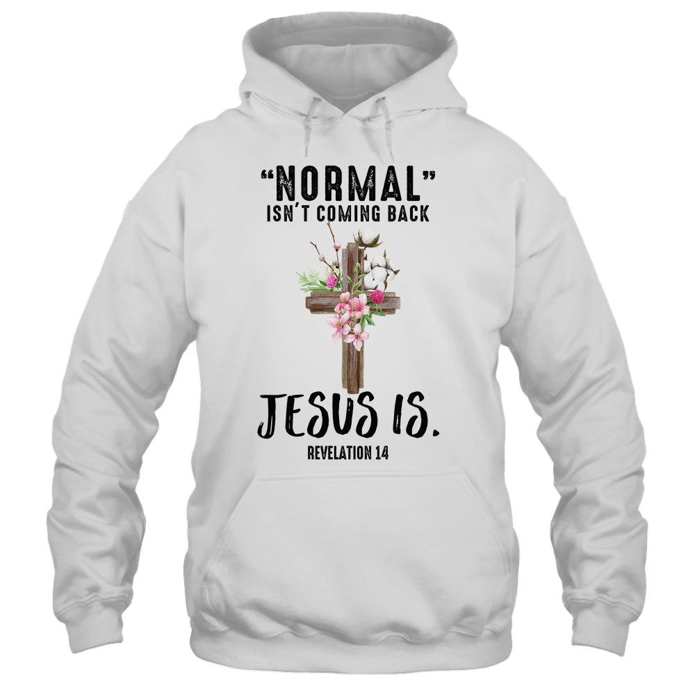 Normal Isn't Coming Back But Jesus Is Costume Shirt & Hoodie | siriusteestore