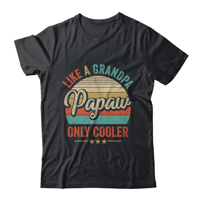 Papaw Like A Grandpa Only Cooler Vintage Dad Fathers Day Shirt & Hoodie | siriusteestore