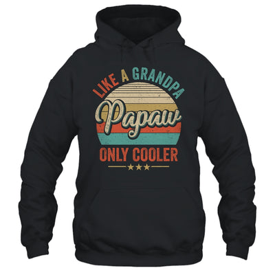 Papaw Like A Grandpa Only Cooler Vintage Dad Fathers Day Shirt & Hoodie | siriusteestore