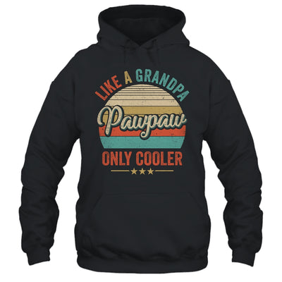 Pawpaw Like A Grandpa Only Cooler Vintage Dad Fathers Day Shirt & Hoodie | siriusteestore