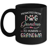 Promoted From Dog Grandma To Human Grandma Dog Lovers Mug | siriusteestore