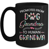 Promoted From Dog Grandma To Human Grandma Dog Lovers Mug | siriusteestore