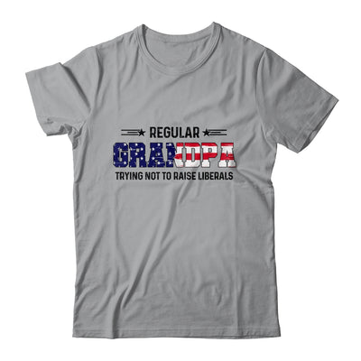 Regular Grandpa Trying Not To Raise Liberal American USA Flag Shirt & Hoodie | siriusteestore