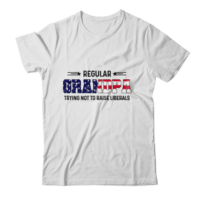 Regular Grandpa Trying Not To Raise Liberal American USA Flag Shirt & Hoodie | siriusteestore