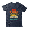 This Is What An Awesome Grandpa Looks Like Fathers Day Shirt & Hoodie | siriusteestore